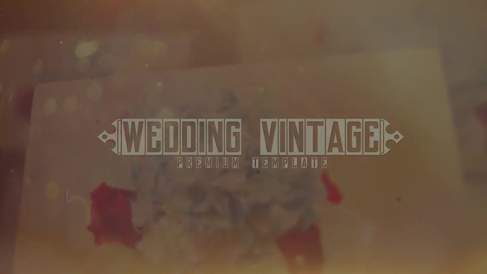 Wedding Vintage Videohive 20202708 After Effects Image 12