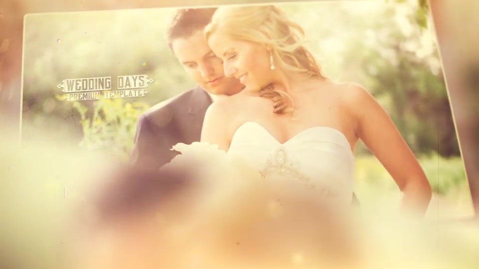 Wedding Vintage Videohive 20202708 After Effects Image 5