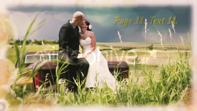 Wedding Vortex - Download Videohive 4857351