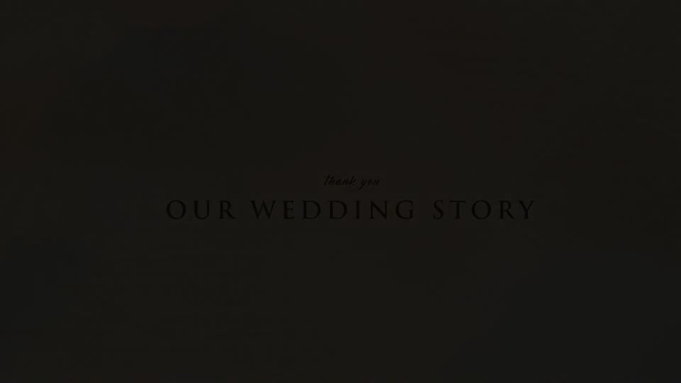 Wedding/Romantic Ink & Brush Story - Download Videohive 20843183