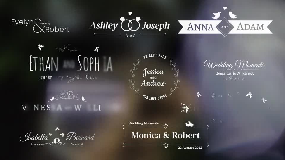 Wedding/Romantic Titles 2 Videohive 35518811 After Effects Image 1