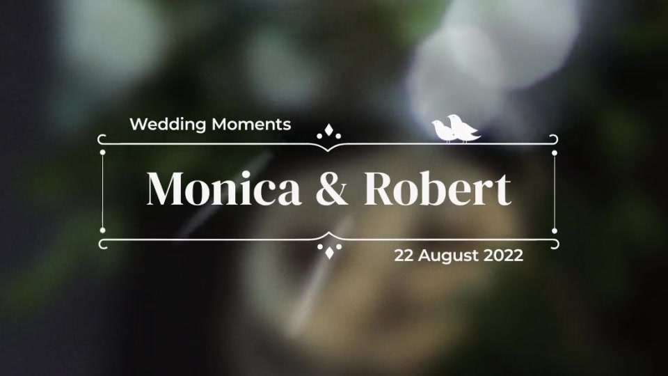 Wedding/Romantic Titles 2 Videohive 35518811 After Effects Image 9