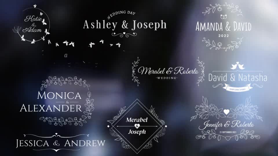 Wedding/Romantic Titles Videohive 34029074 After Effects Image 1