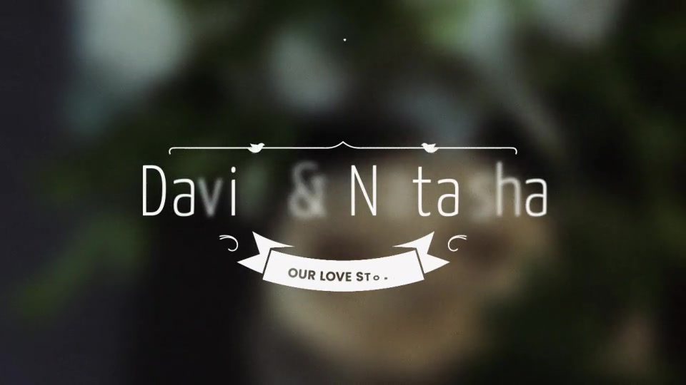 Wedding/Romantic Titles Videohive 34029074 After Effects Image 10