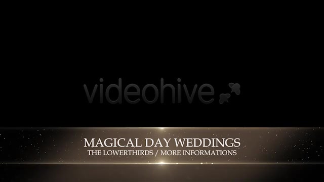 Weddings Package - Download Videohive 4874937