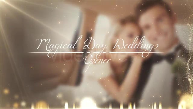 Weddings Package - Download Videohive 4874937