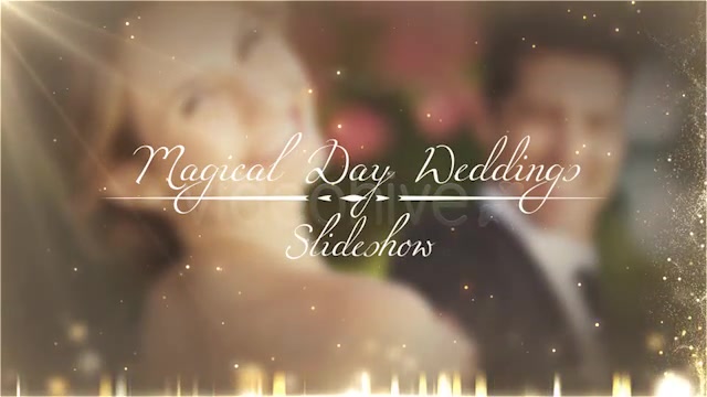 Weddings Package - Download Videohive 4874937