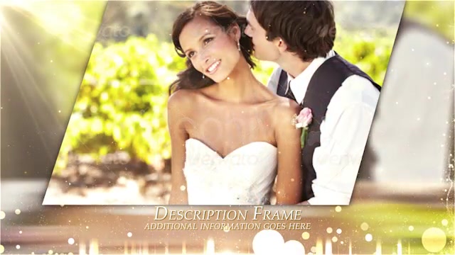 Weddings Package - Download Videohive 4874937