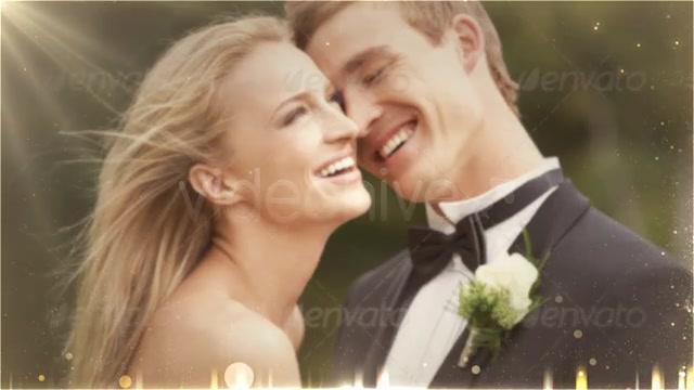 Weddings Package - Download Videohive 4874937