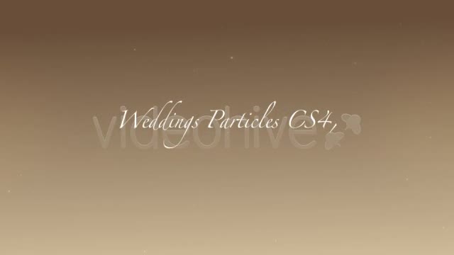 Weddings Particles CS4 Project File - Download Videohive 125019