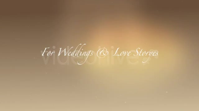 Weddings Particles CS4 Project File - Download Videohive 125019