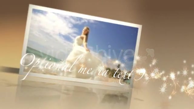 Weddings Particles CS4 Project File - Download Videohive 125019