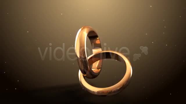 Weddings Rings Intro - Download Videohive 622944