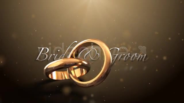 Weddings Rings Intro - Download Videohive 622944