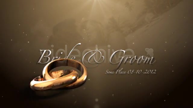 Weddings Rings Intro - Download Videohive 622944