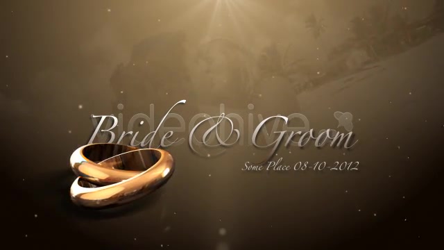 Weddings Rings Intro - Download Videohive 622944