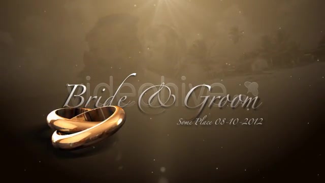 Weddings Rings Intro - Download Videohive 622944