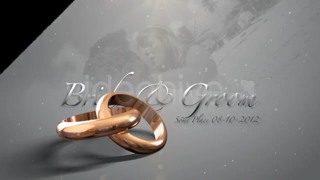 Weddings Rings Intro - Download Videohive 622944