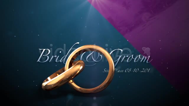 Weddings Rings Intro - Download Videohive 622944