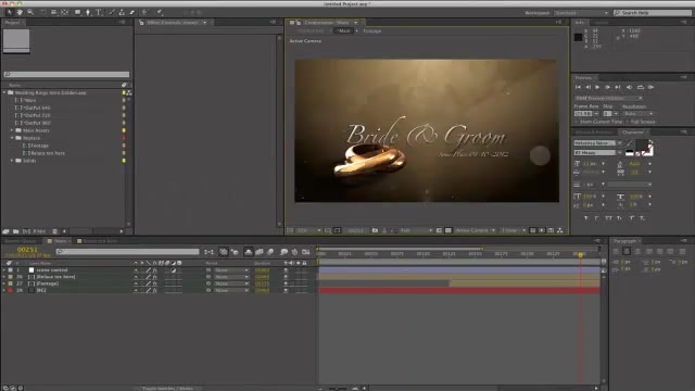 Weddings Rings Intro - Download Videohive 622944