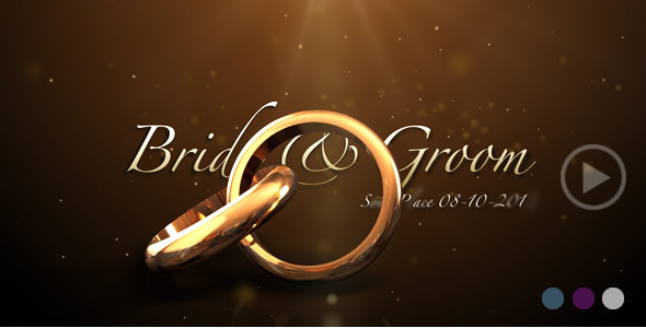 Weddings Rings Intro - Download Videohive 622944