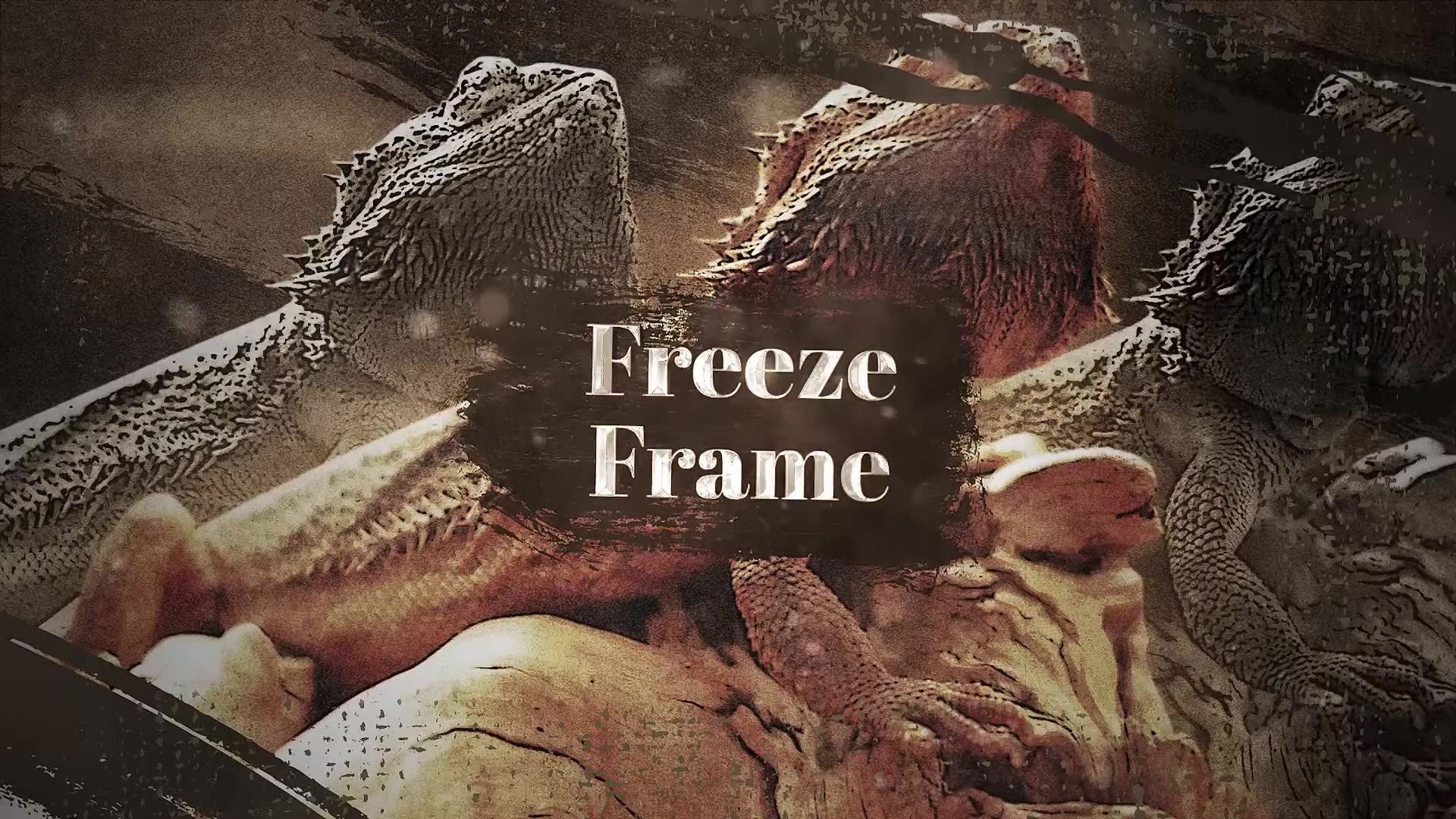 Westland Freeze Frame Videohive 35228011 After Effects Image 3