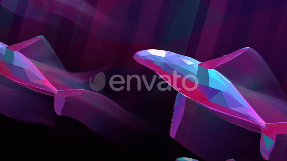 Whales Videohive 25781592 Motion Graphics Image 1