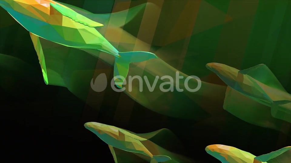 Whales Videohive 25781592 Motion Graphics Image 11