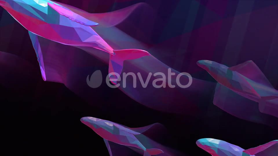 Whales Videohive 25781592 Motion Graphics Image 2