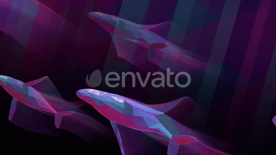 Whales Videohive 25781592 Motion Graphics Image 3