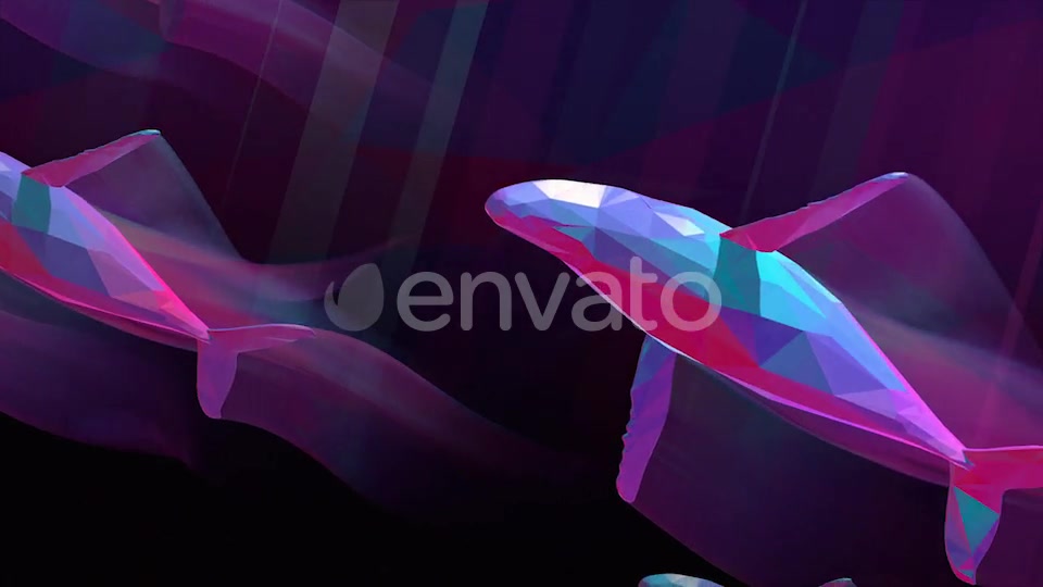 Whales Videohive 25781592 Motion Graphics Image 4