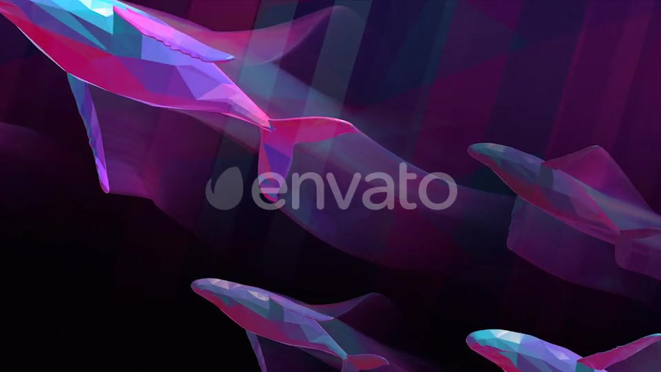 Whales Videohive 25781592 Motion Graphics Image 5