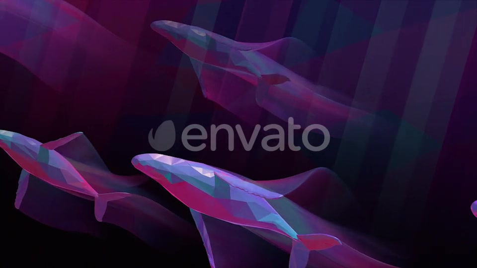 Whales Videohive 25781592 Motion Graphics Image 6