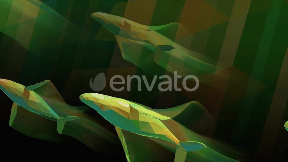 Whales Videohive 25781592 Motion Graphics Image 9