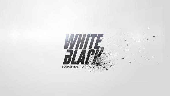 White And Black Logo Reveal - Download Videohive 30272988