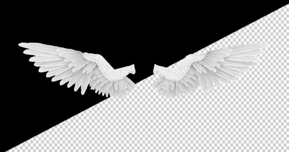 White Angel Wings - 18603338 Videohive Download