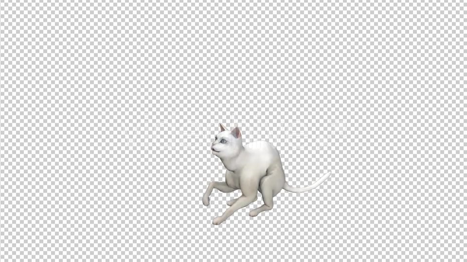 White Cat Play - Download Videohive 21229601