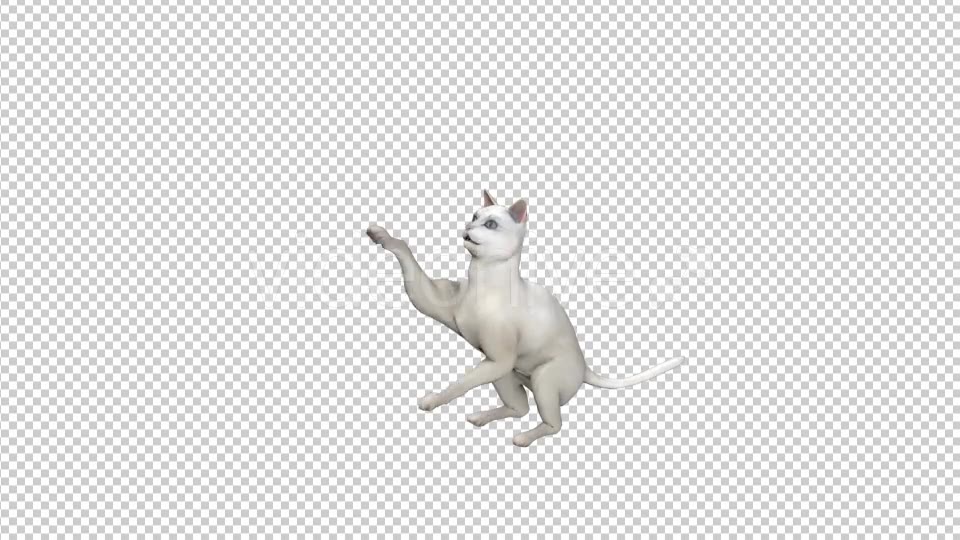 White Cat Play - Download Videohive 21229601