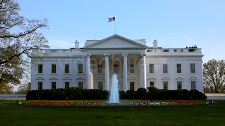 White House in the spring Full HD  Videohive 97290 Stock Footage Image 3
