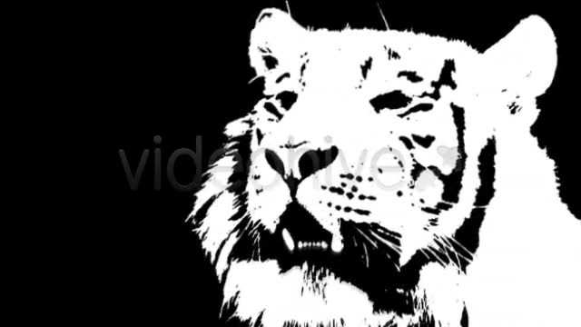White Tiger Videohive 10507 Motion Graphics Image 2