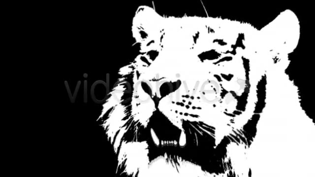 White Tiger Videohive 10507 Motion Graphics Image 3