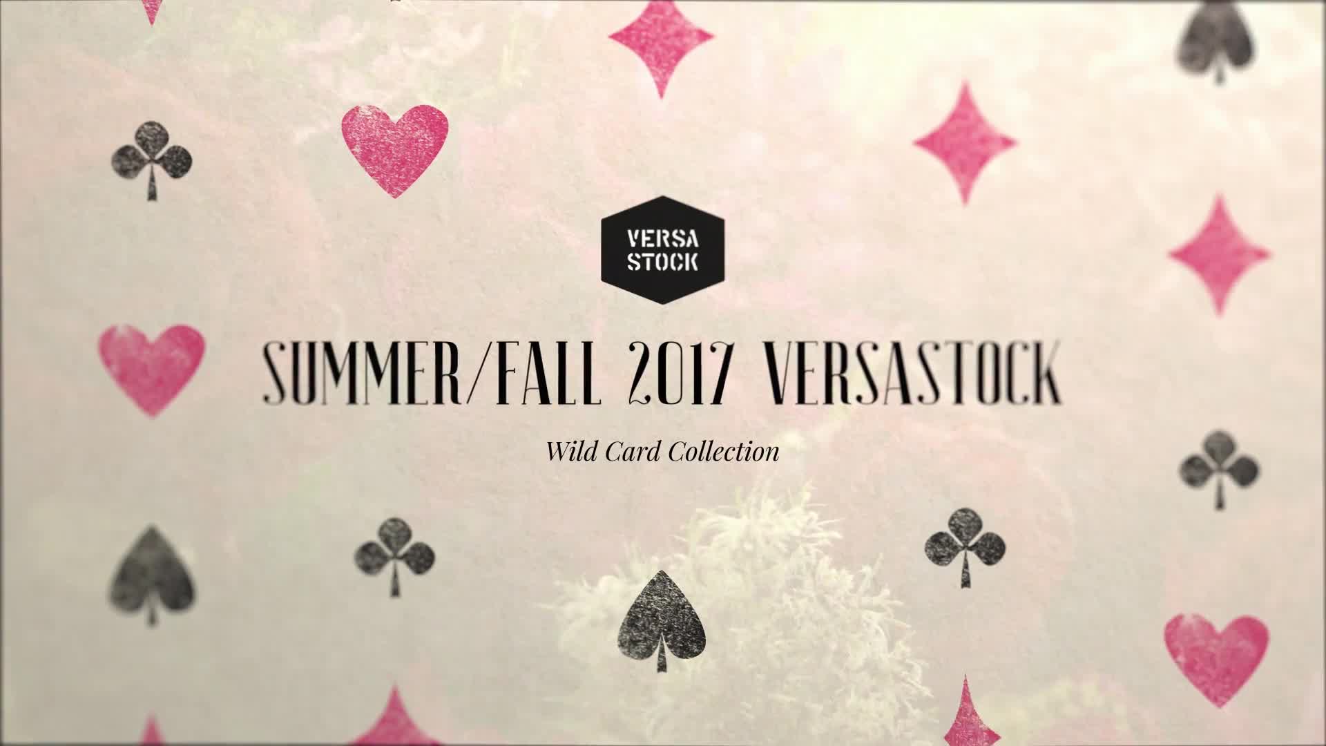 Wild Card | Fashion Promo - Download Videohive 20409131
