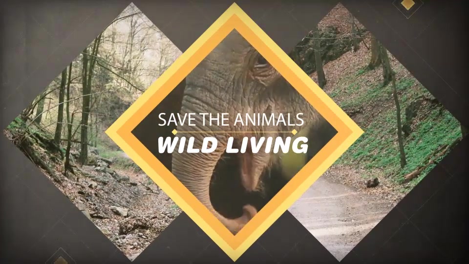 Wild Living Videohive 11565224 After Effects Image 4