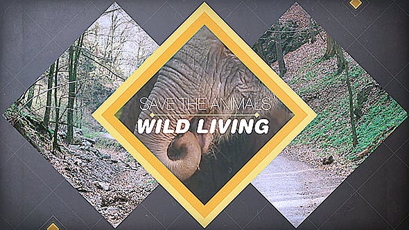 Wild Living - Videohive Download 11565224
