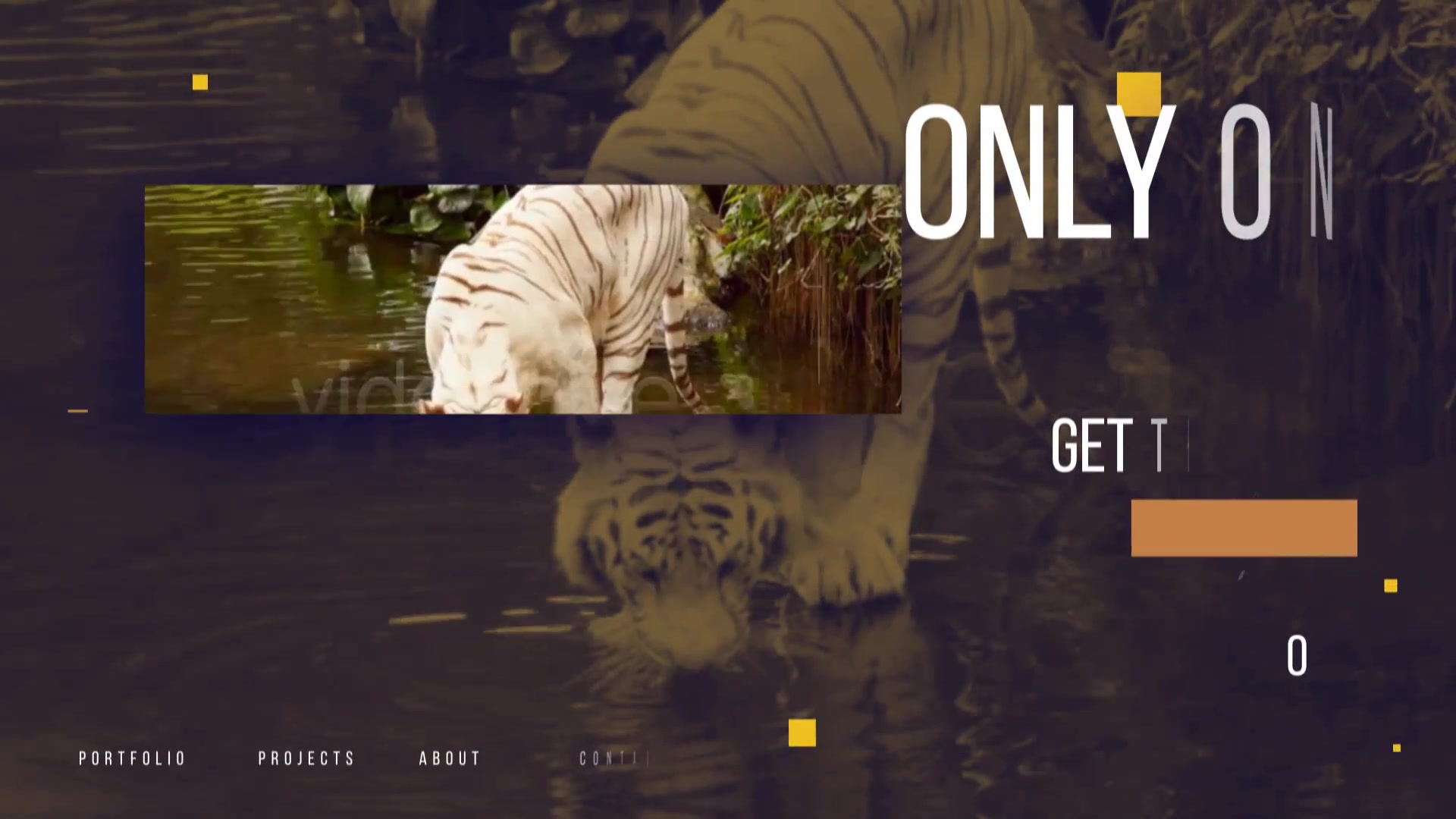 Wild Nature Presentation Videohive 27125012 After Effects Image 10