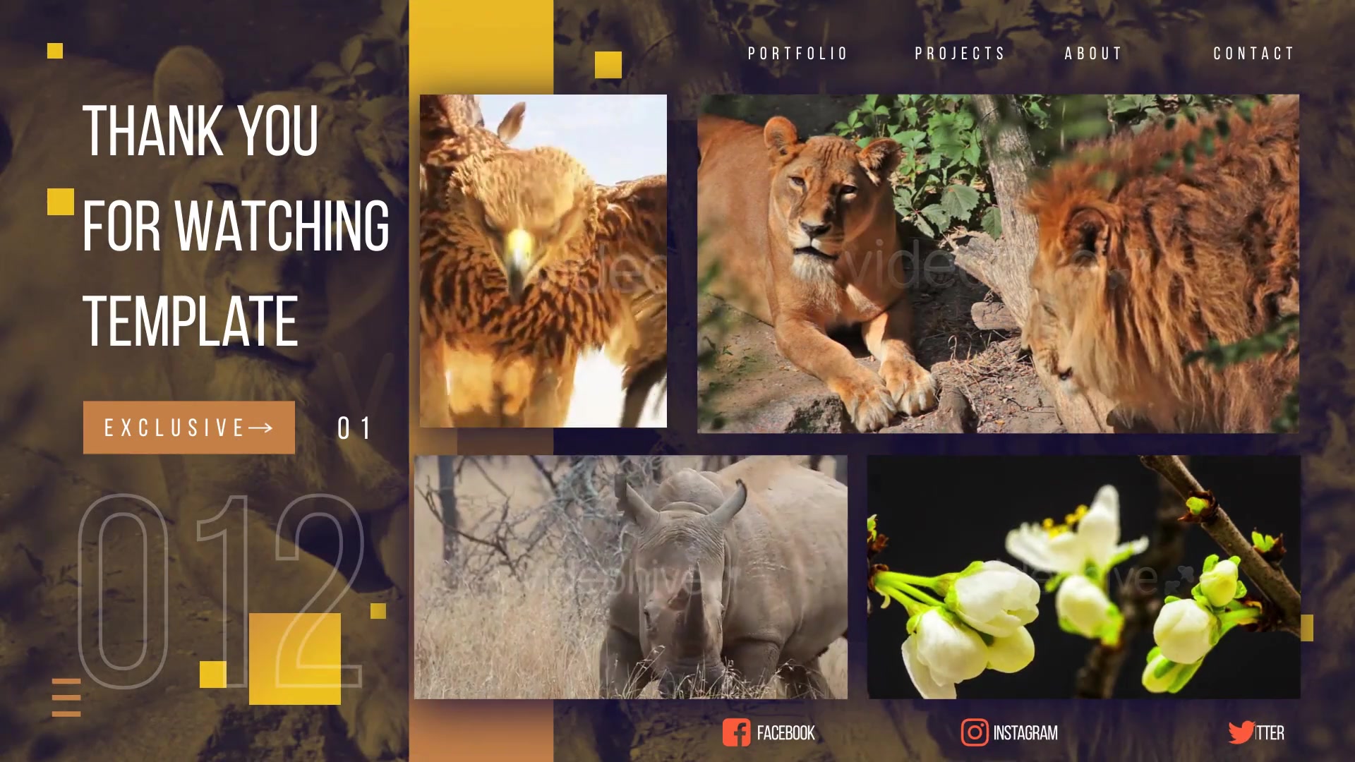 Wild Nature Presentation Videohive 27125012 After Effects Image 11