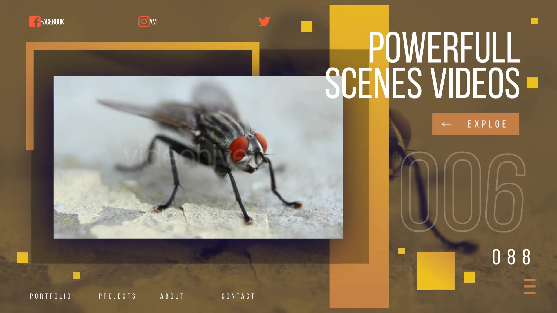 Wild Nature Presentation Videohive 27125012 After Effects Image 6