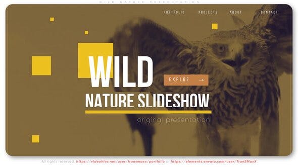 Wild Nature Presentation - Download 27125012 Videohive