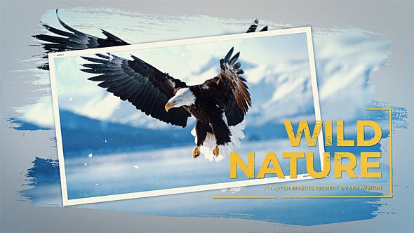 Wild Nature Slideshow - Download 20080773 Videohive