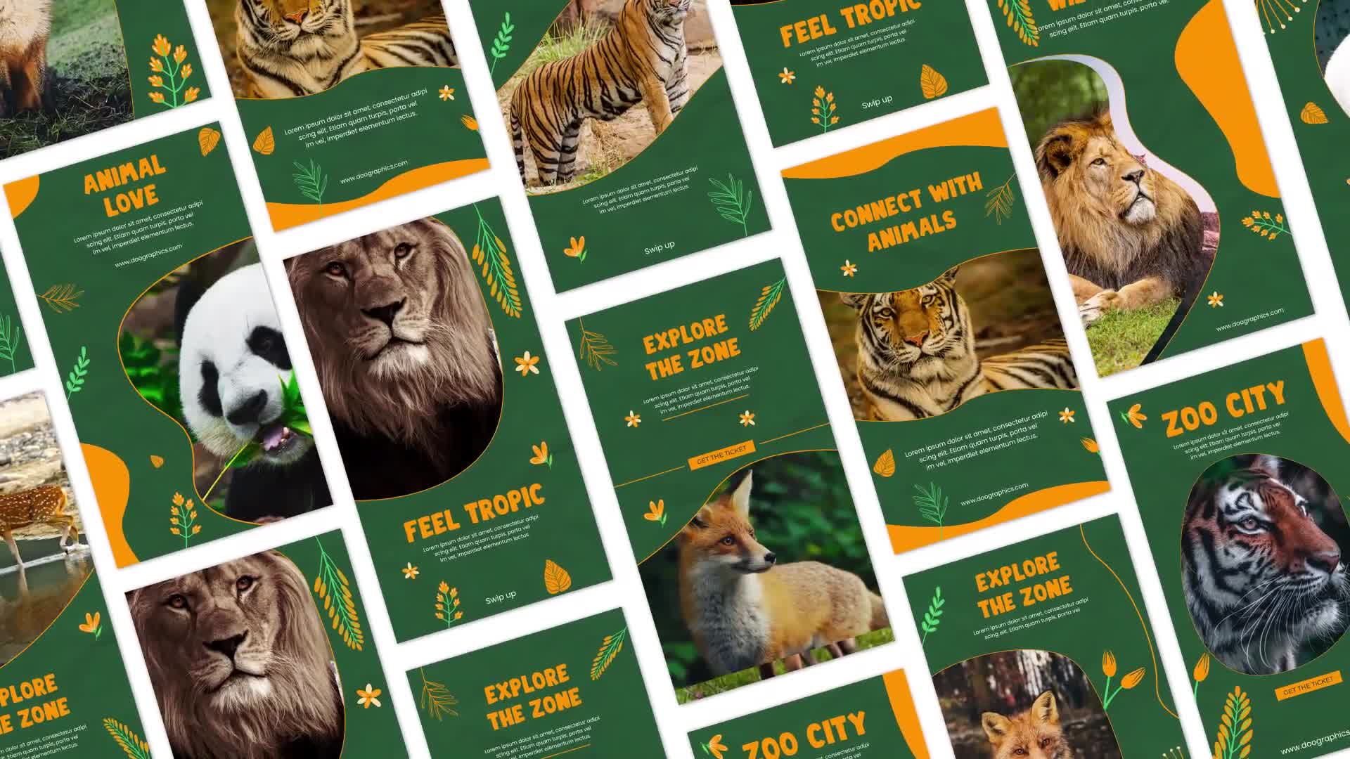 Wildlife Instagram Story Template Videohive 35490855 After Effects Image 1